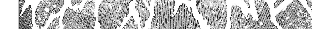 Battle Angel Alita: Last Order Chapter 100 page 32 - 