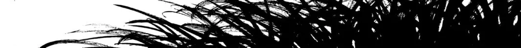 Battle Angel Alita: Last Order Chapter 109 page 22 - 