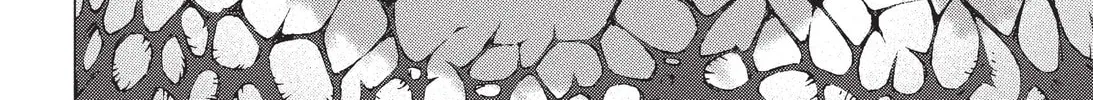Battle Angel Alita: Last Order Chapter 56 page 4 - 