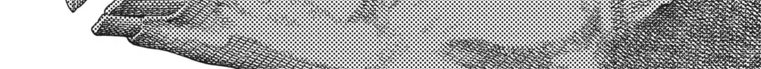 Battle Angel Alita: Last Order Chapter 75 page 2 - 