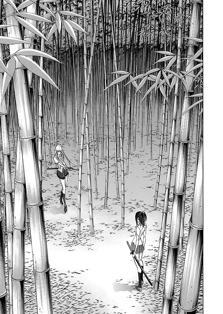 Read Battle Vixens chapter 129 image 2 on Lezhin