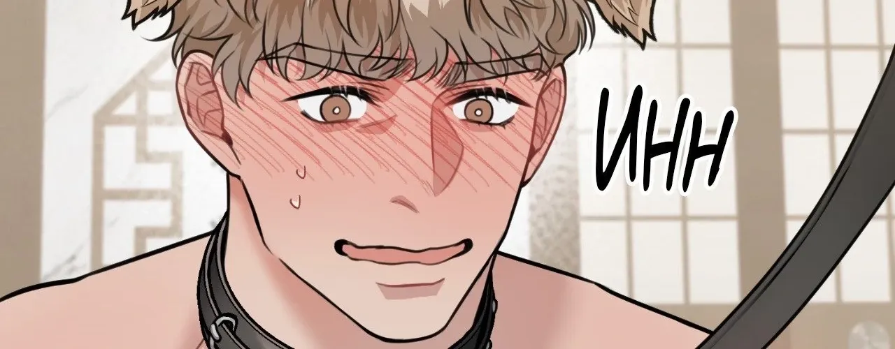 Read BDSM 101 chapter 12 image 175 on Lezhin