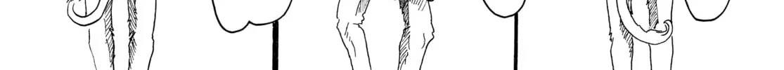 Read Beast Complex chapter 1 image 33 on Lezhin