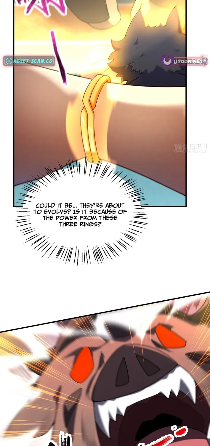 Read Beast Taming Evolution chapter 2 image 2 on Lezhin