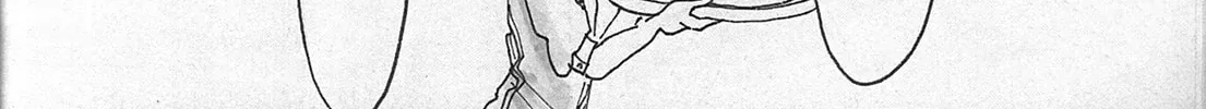 Read Beastars - Beast Complex (Doujinshi) chapter 2 image 7 on Lezhin