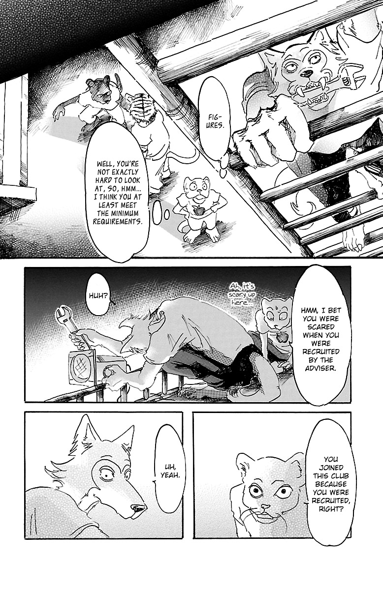 Read Beastars chapter 10 image 11 on Lezhin