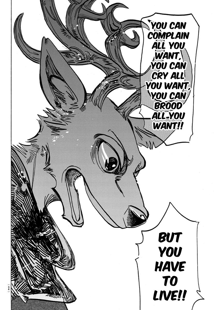 Read Beastars chapter 167 image 8 on Lezhin