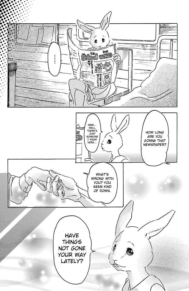 Read Beastars chapter 17 image 19 on Lezhin