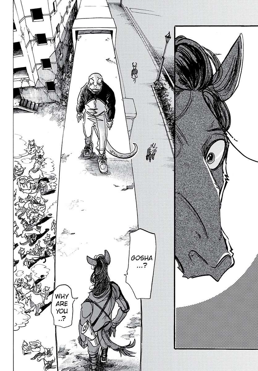 Read Beastars chapter 176 image 5 on Lezhin