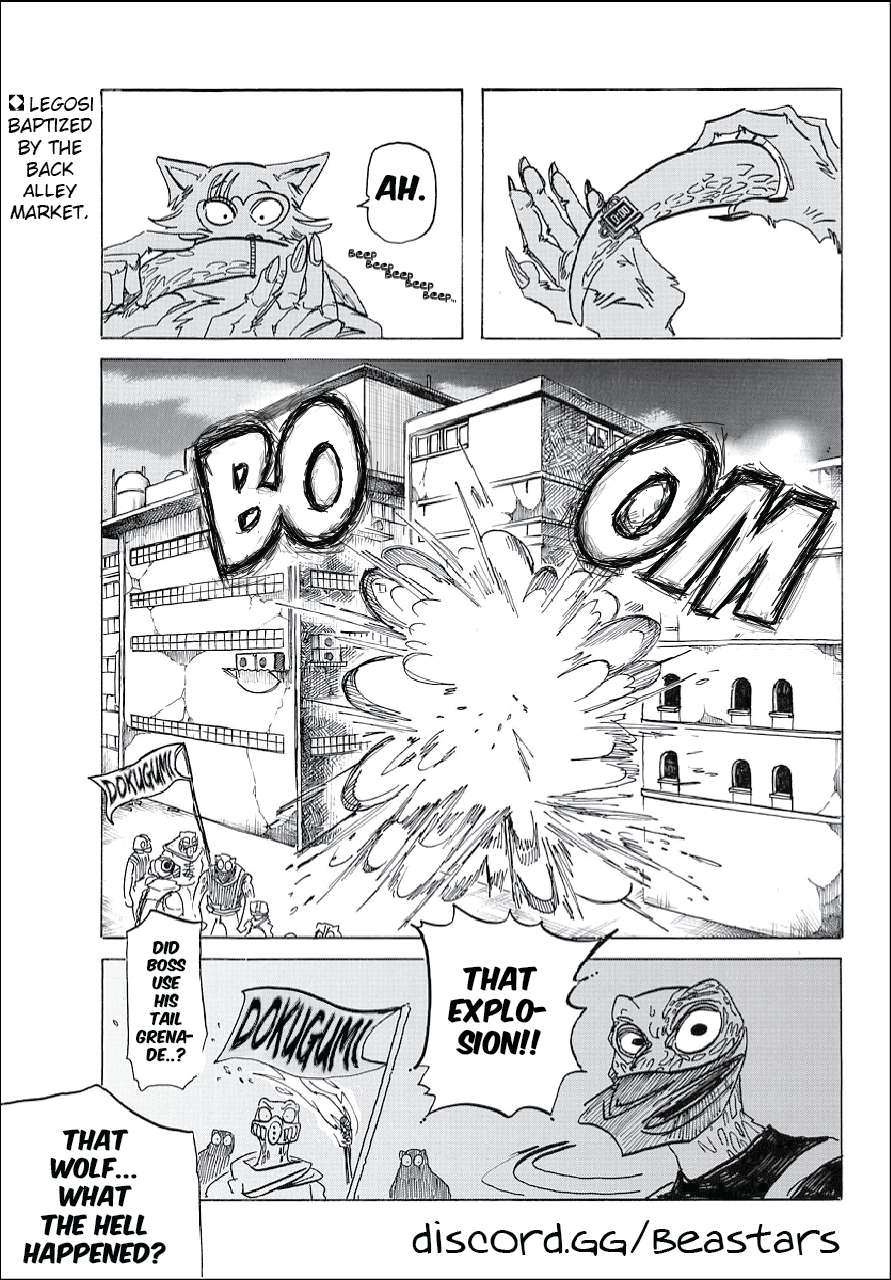Read Beastars chapter 178 image 1 on Lezhin