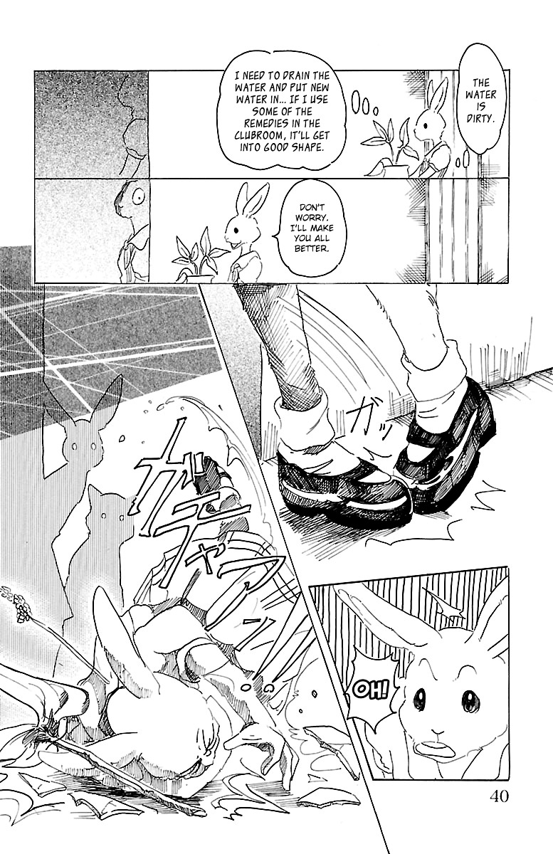 Read Beastars chapter 18 image 12 on Lezhin