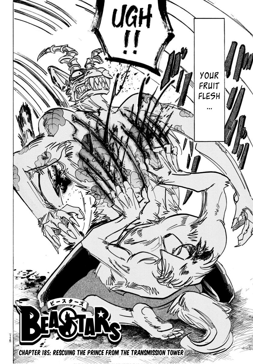 Read Beastars chapter 185 image 1 on Lezhin