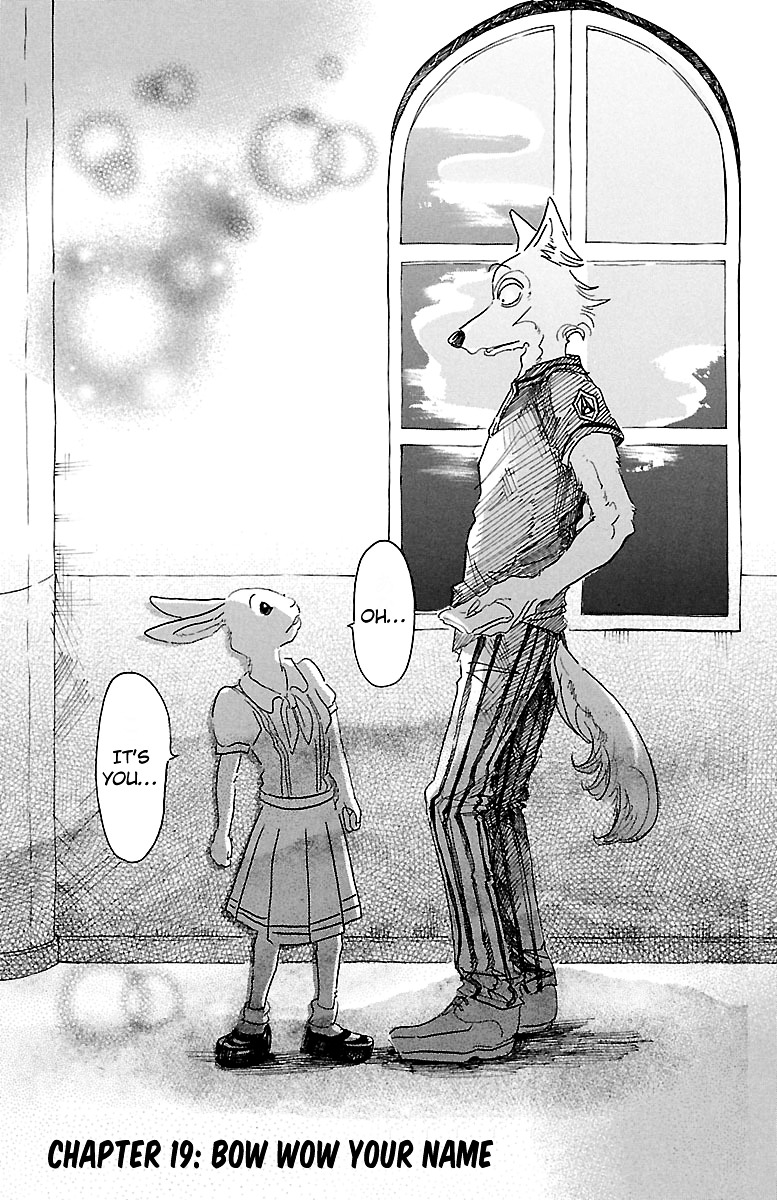 Read Beastars chapter 19 image 0 on Lezhin
