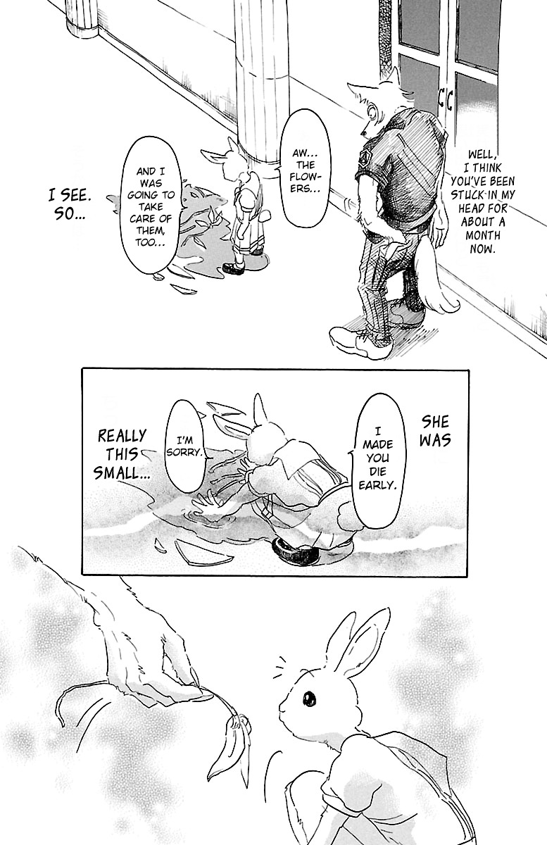 Read Beastars chapter 19 image 2 on Lezhin