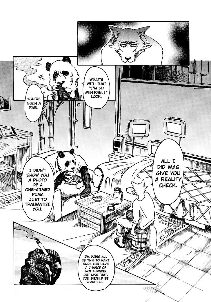 Read Beastars chapter 25 image 1 on Lezhin
