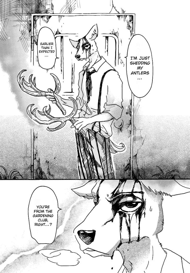 Read Beastars chapter 26 image 7 on Lezhin