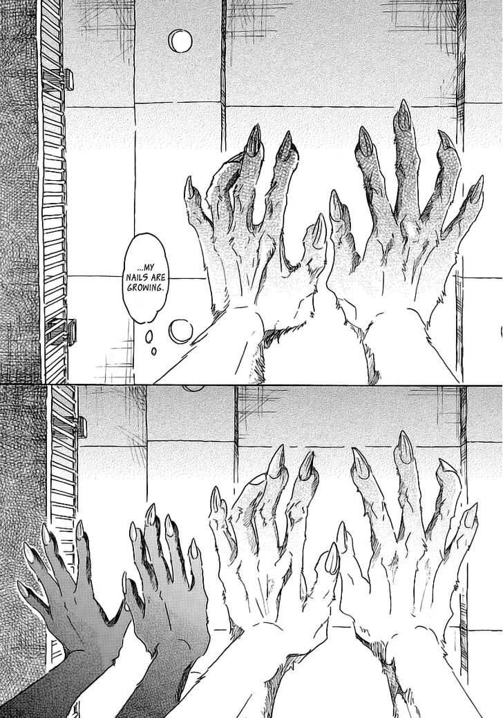 Read Beastars chapter 27 image 10 on Lezhin