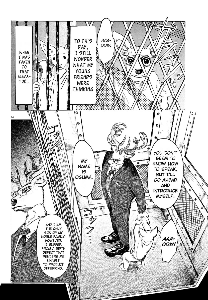 Read Beastars chapter 33 image 14 on Lezhin