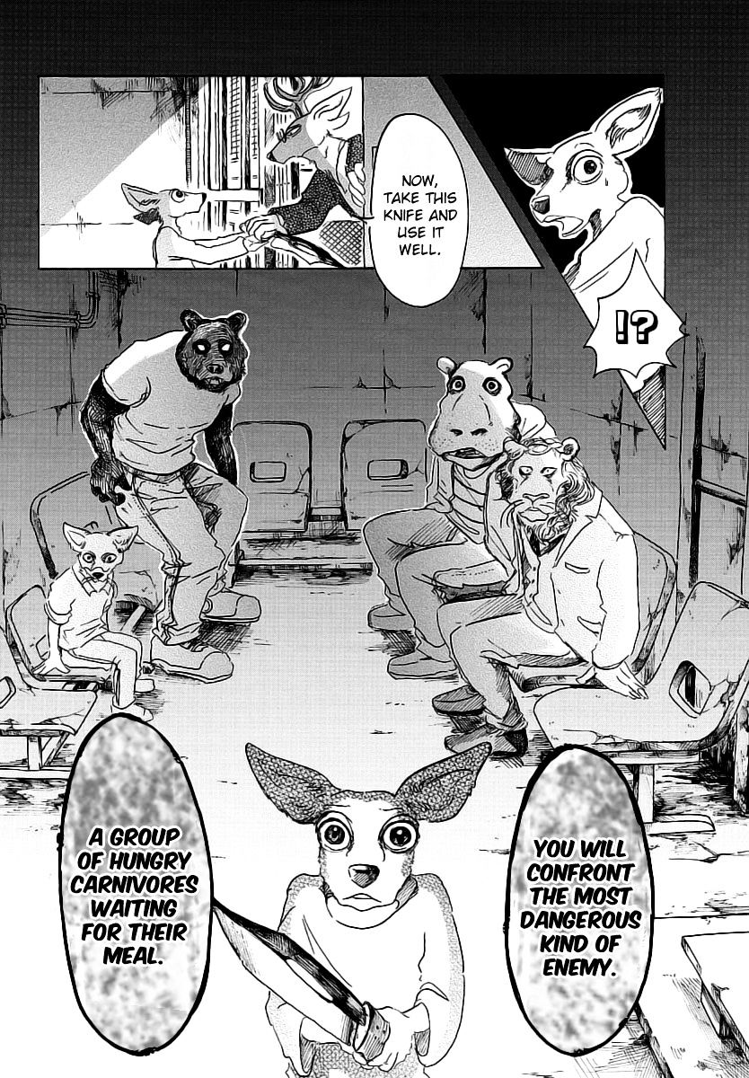 Read Beastars chapter 33 image 16 on Lezhin