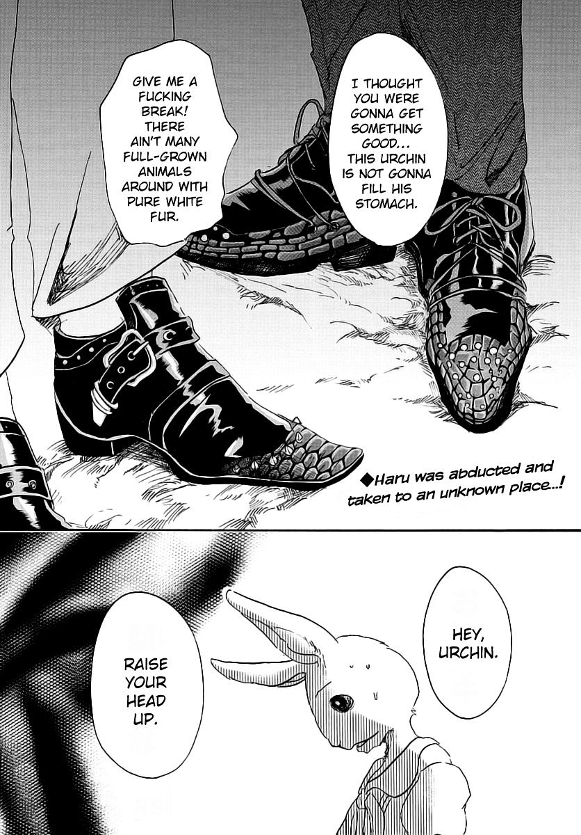 Read Beastars chapter 35 image 0 on Lezhin