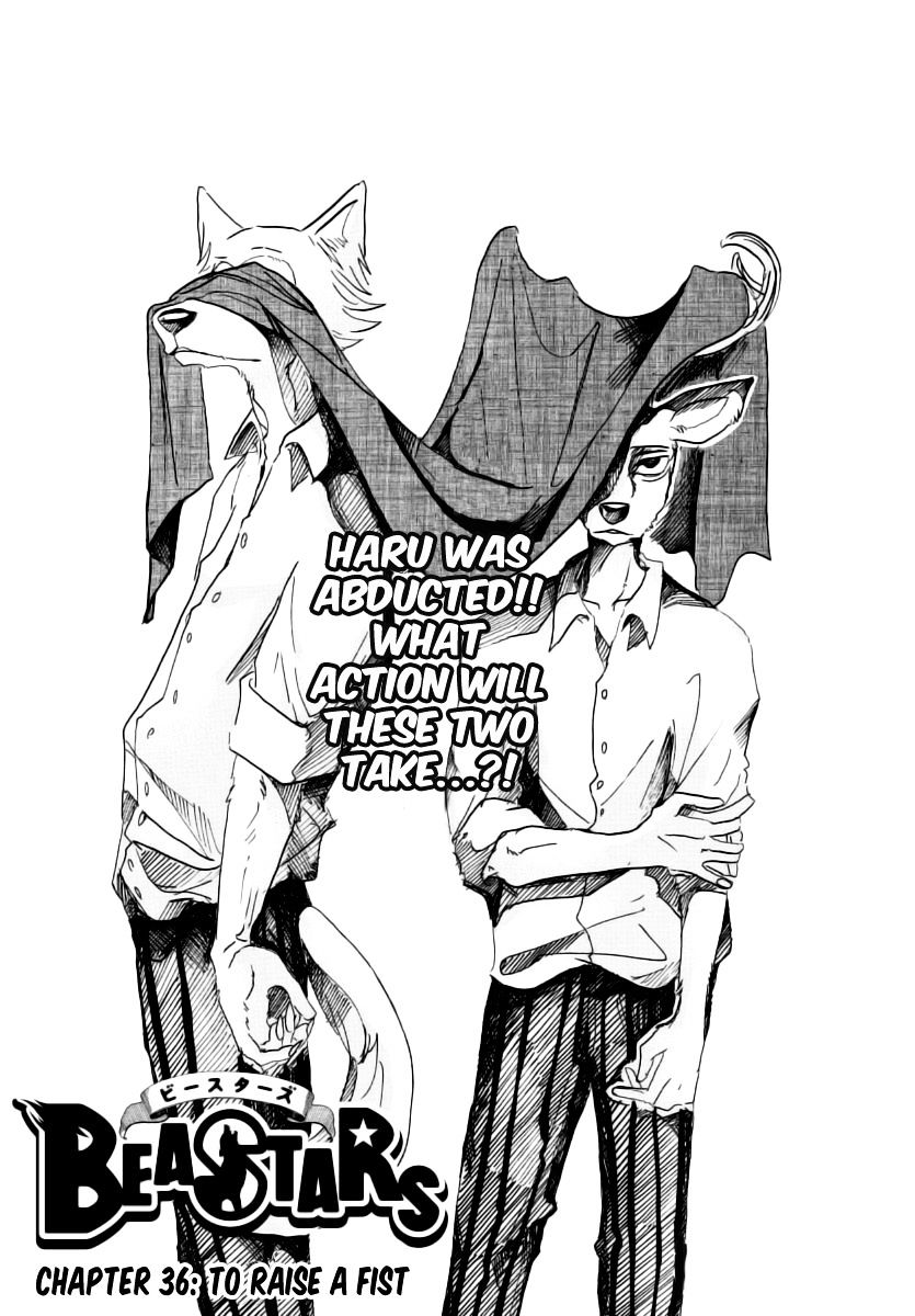 Read Beastars chapter 36 image 0 on Lezhin