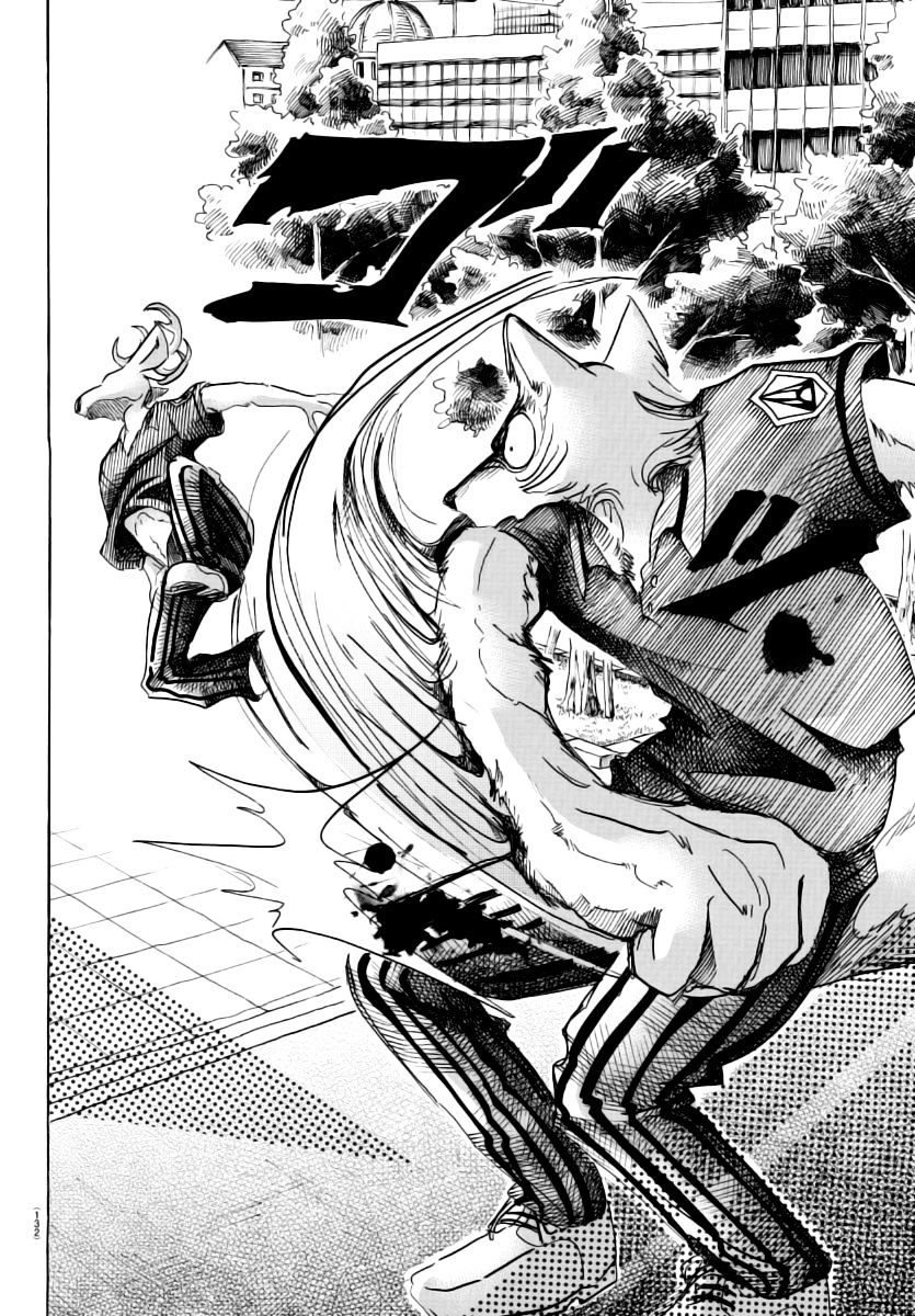 Read Beastars chapter 36 image 13 on Lezhin