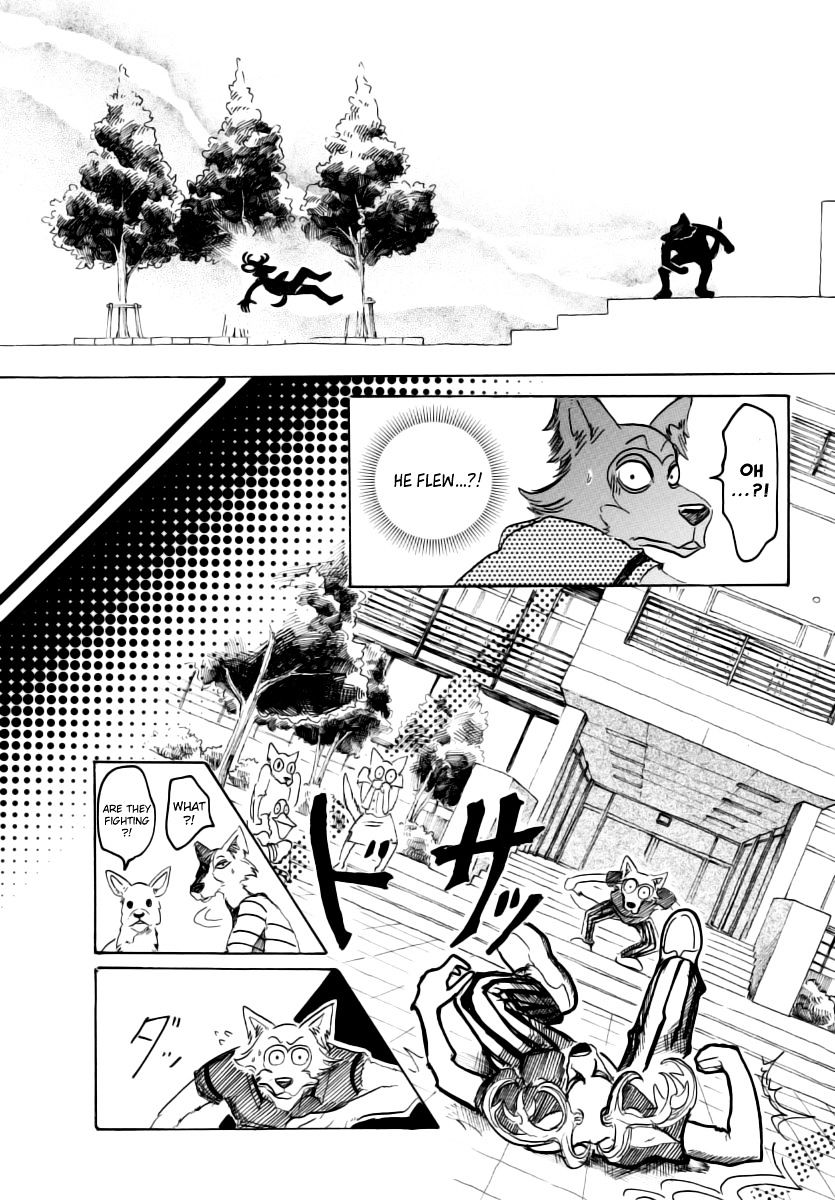 Read Beastars chapter 36 image 14 on Lezhin