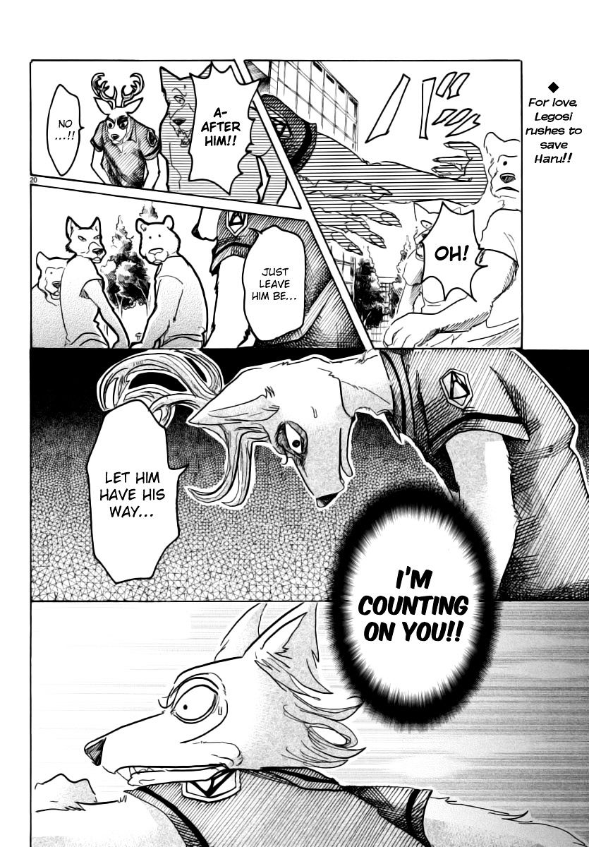 Read Beastars chapter 36 image 18 on Lezhin