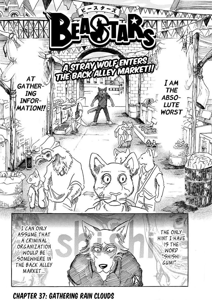 Read Beastars chapter 37 image 1 on Lezhin
