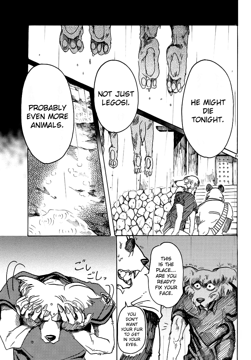 Read Beastars chapter 37 image 19 on Lezhin