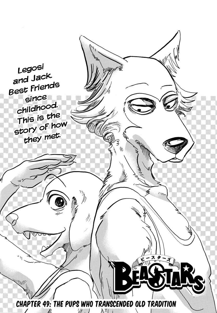 Read Beastars chapter 49 image 0 on Lezhin