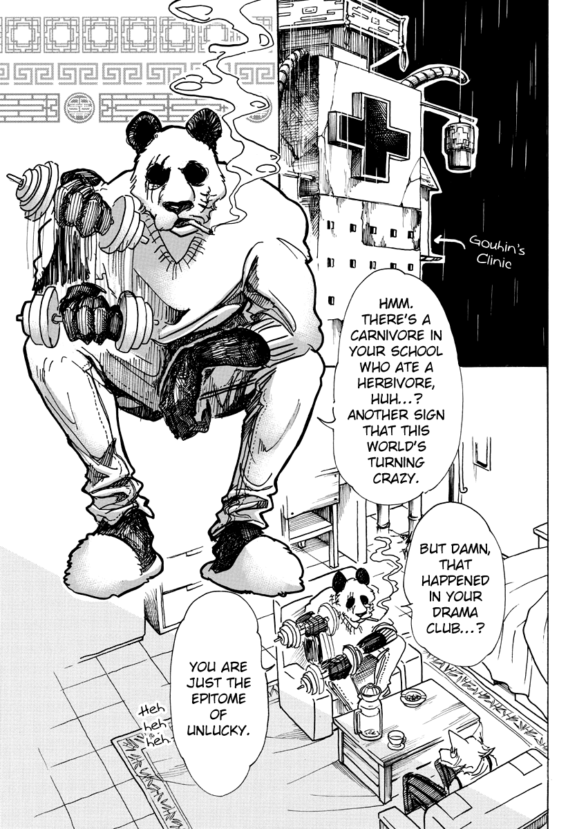 Read Beastars chapter 62 image 3 on Lezhin