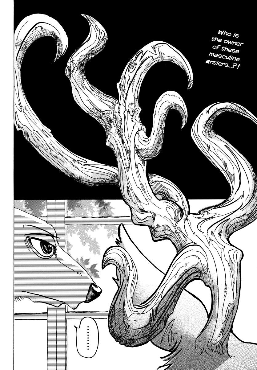 Read Beastars chapter 65 image 1 on Lezhin