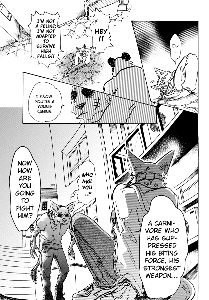 Read Beastars chapter 68 image 12 on Lezhin