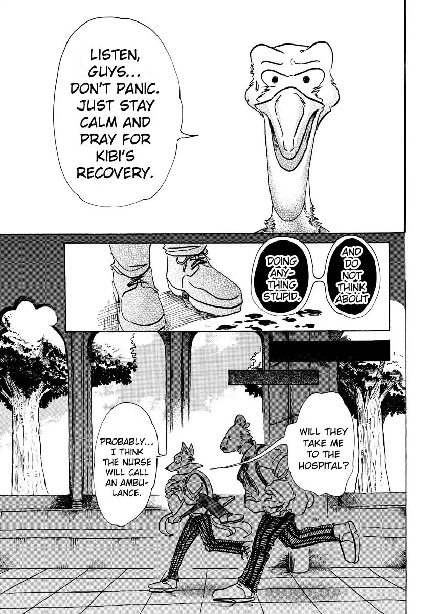 Read Beastars chapter 71 image 13 on Lezhin