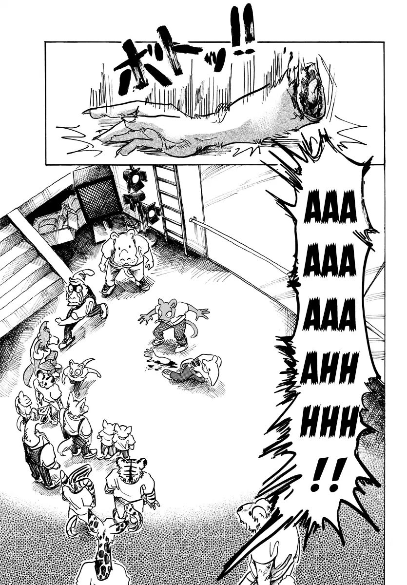 Read Beastars chapter 71 image 5 on Lezhin