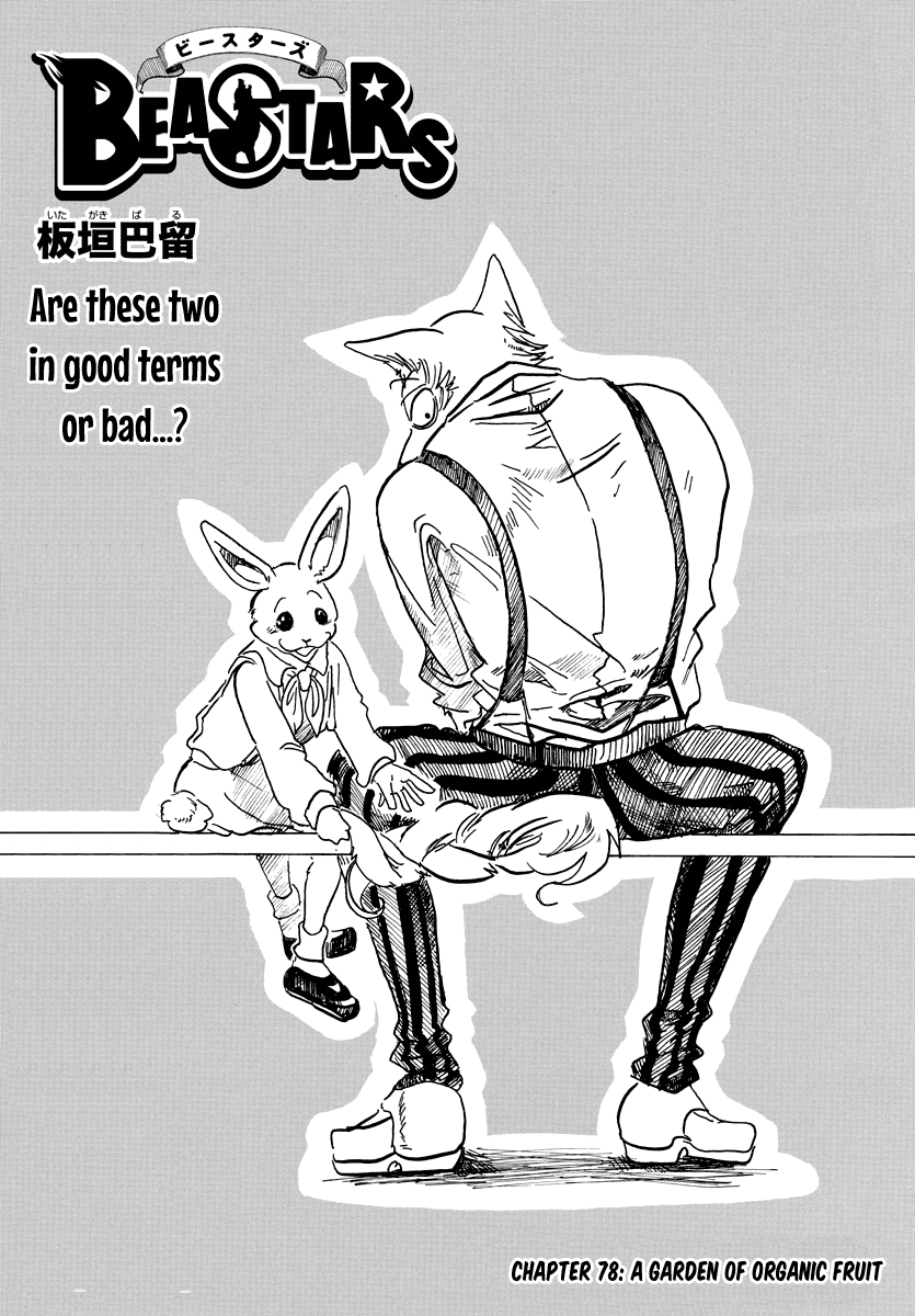 Read Beastars chapter 78 image 0 on Lezhin
