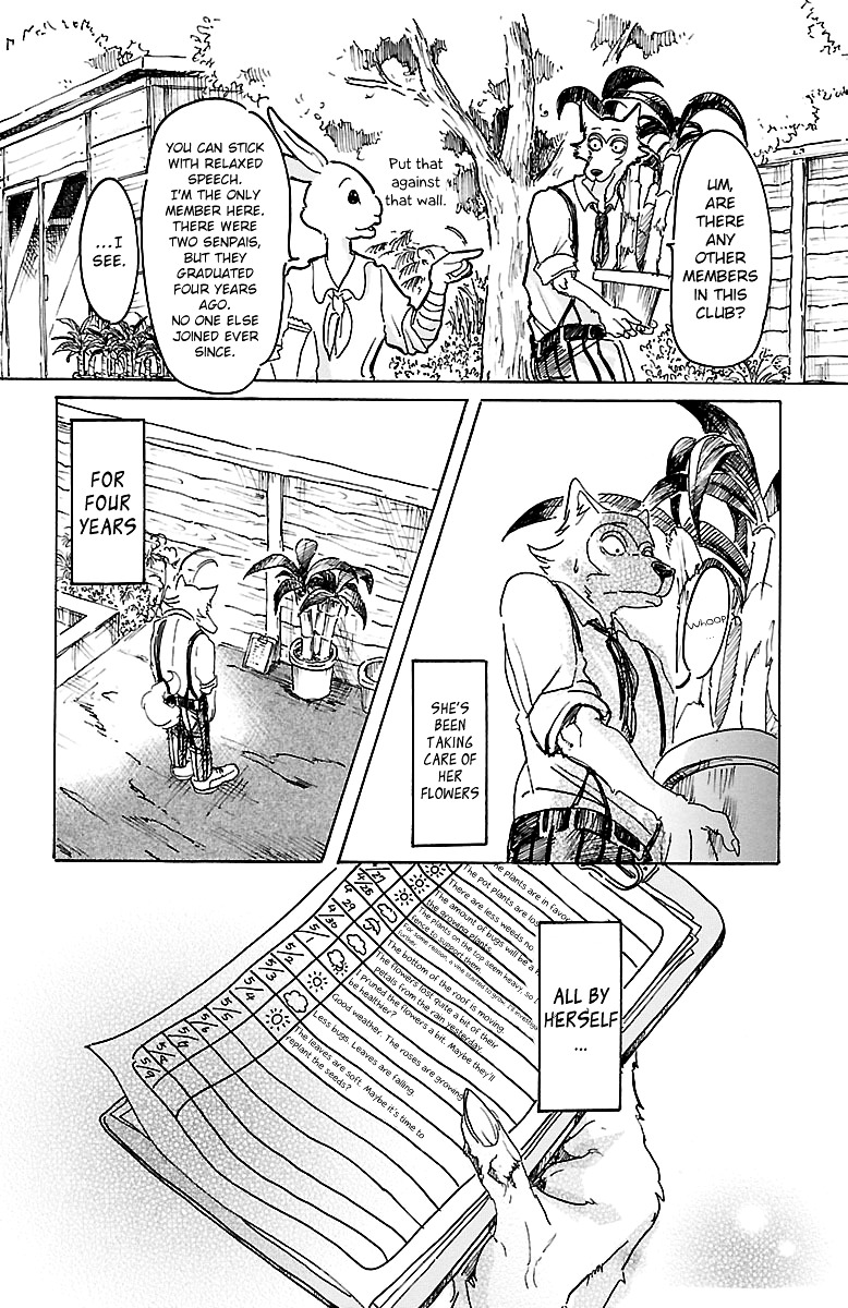 Read Beastars chapter 8 image 15 on Lezhin