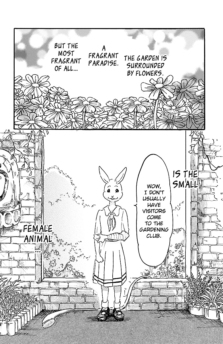 Read Beastars chapter 8 image 3 on Lezhin