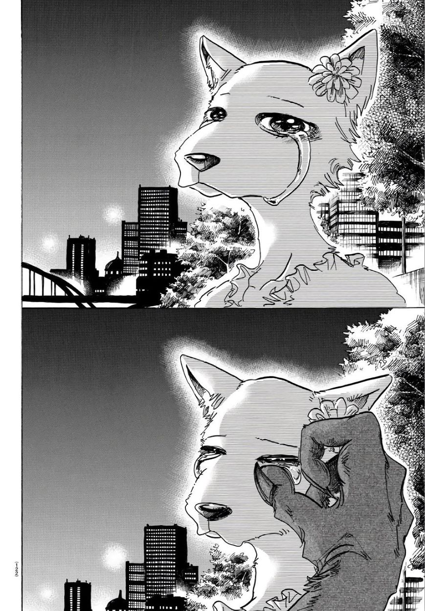 Read Beastars chapter 86 image 16 on Lezhin