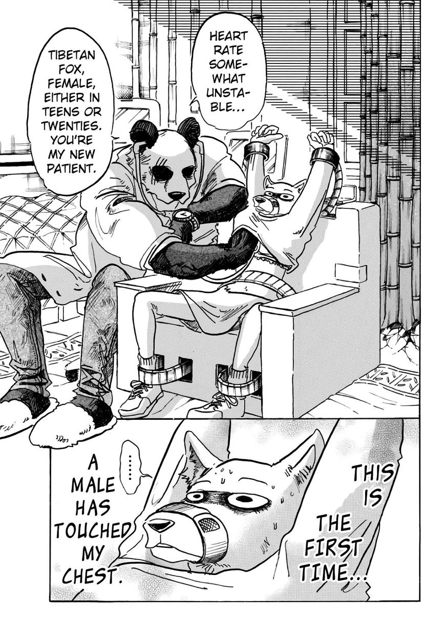 Read Beastars chapter 86 image 2 on Lezhin