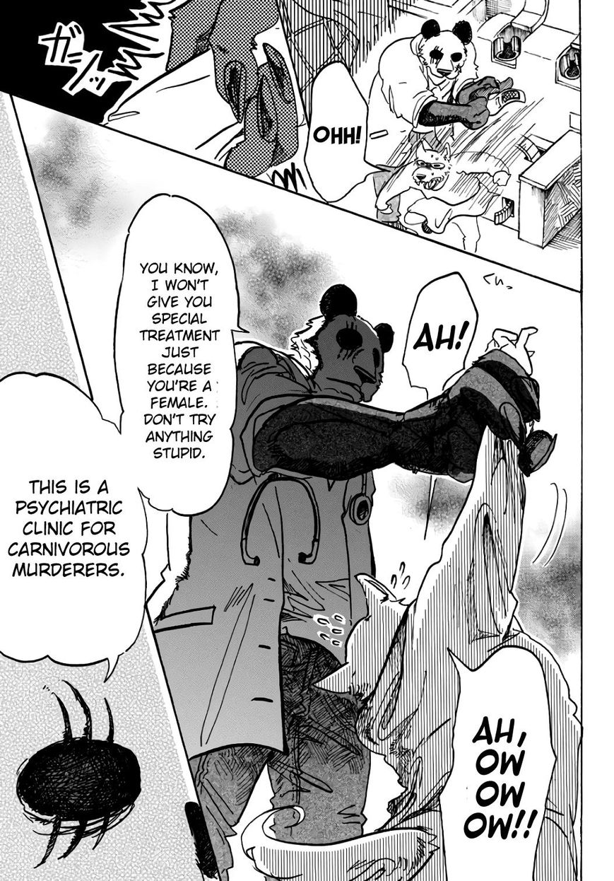 Read Beastars chapter 86 image 4 on Lezhin