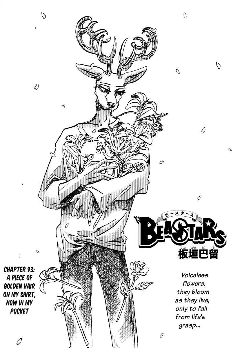 Read Beastars chapter 93 image 0 on Lezhin