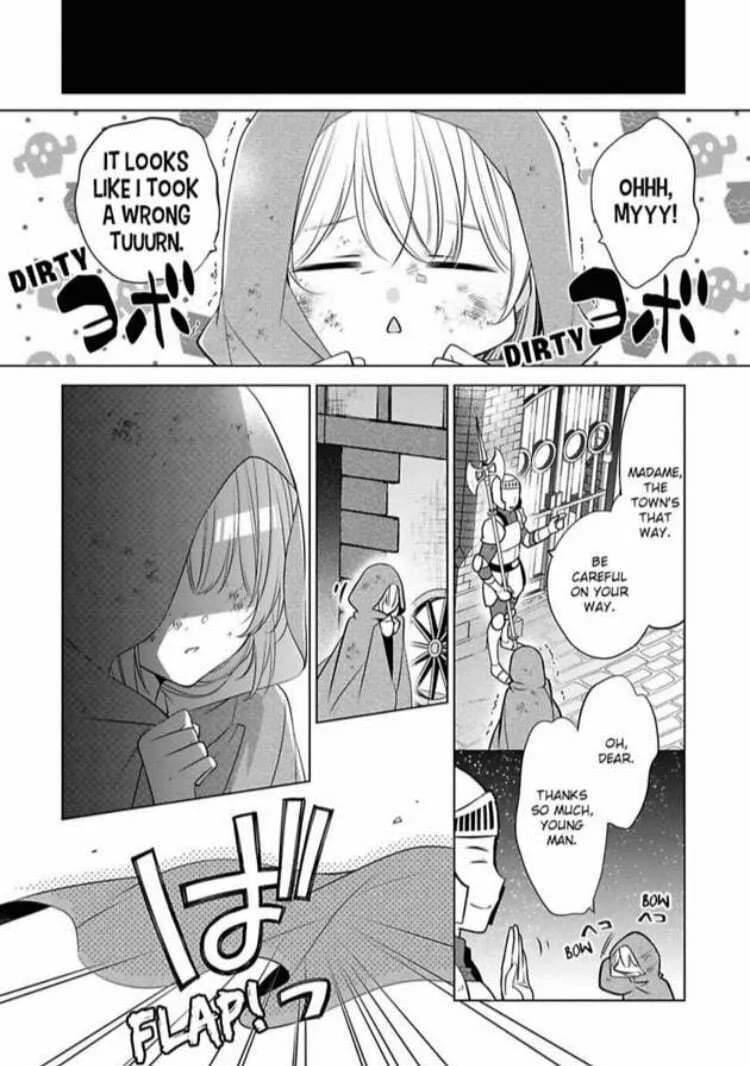 Beating the Heroine at Her Own Game Chapter 11 page 17 - 