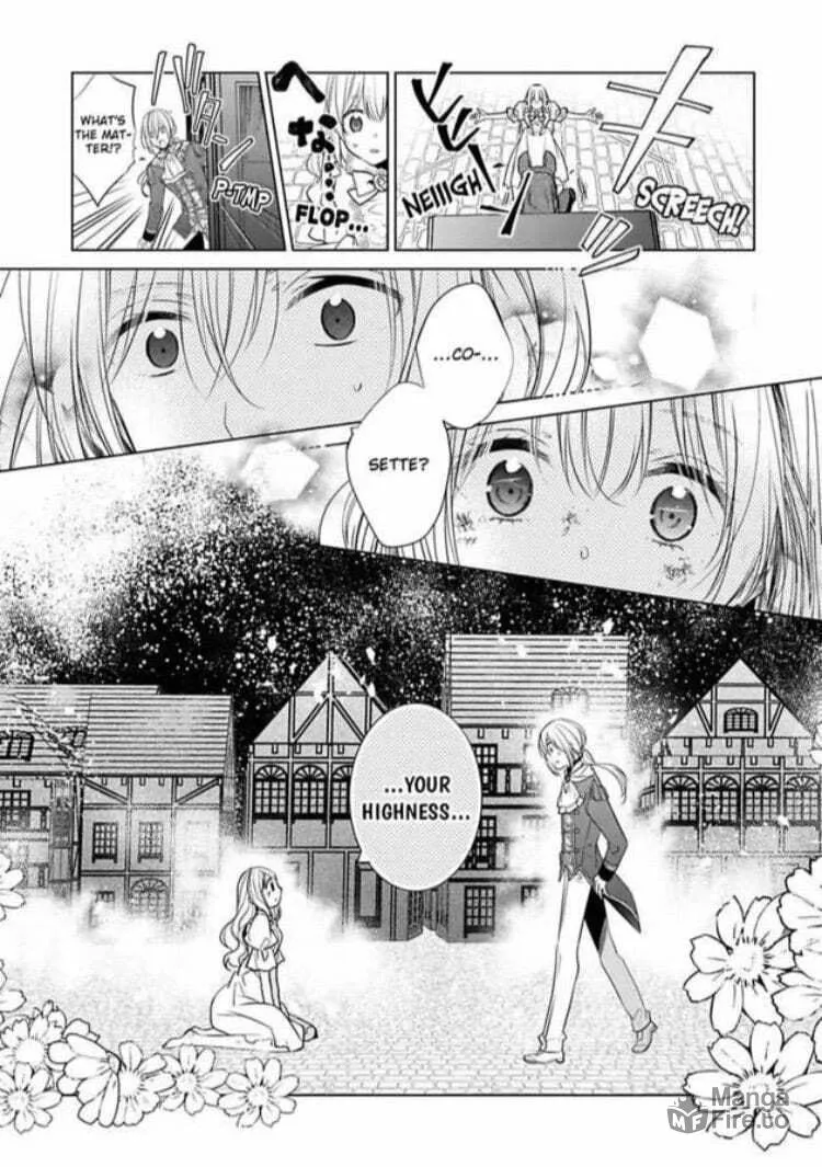 Beating the Heroine at Her Own Game Chapter 11 page 20 - 
