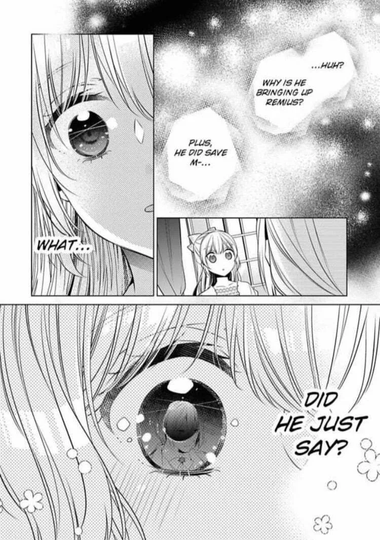 Beating the Heroine at Her Own Game Chapter 12 page 13 - 