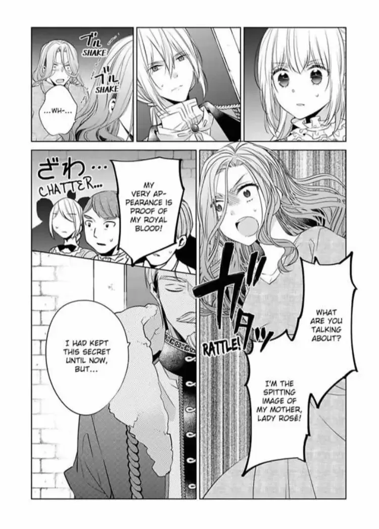 Beating the Heroine at Her Own Game Chapter 13 page 17 - 