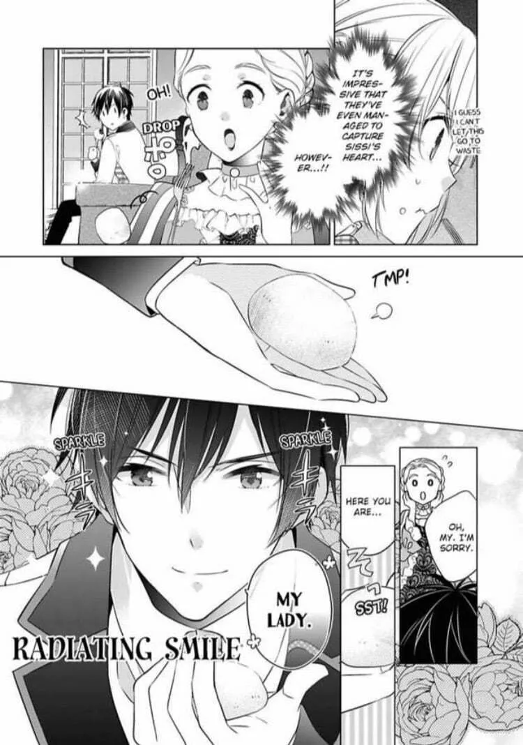 Beating the Heroine at Her Own Game Chapter 8 page 17 - 