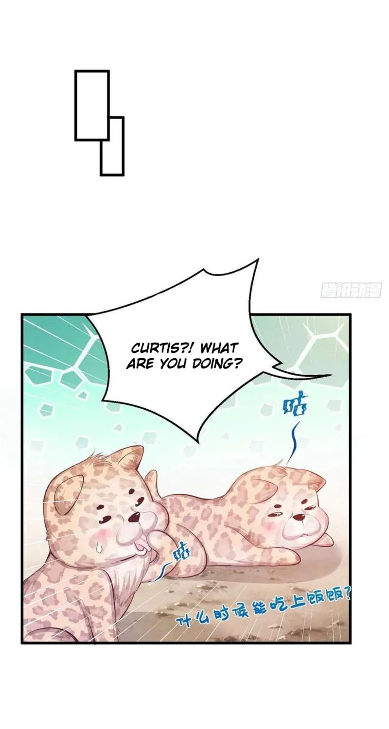 Read Beauty And The Beasts chapter 236 image 4 on Lezhin