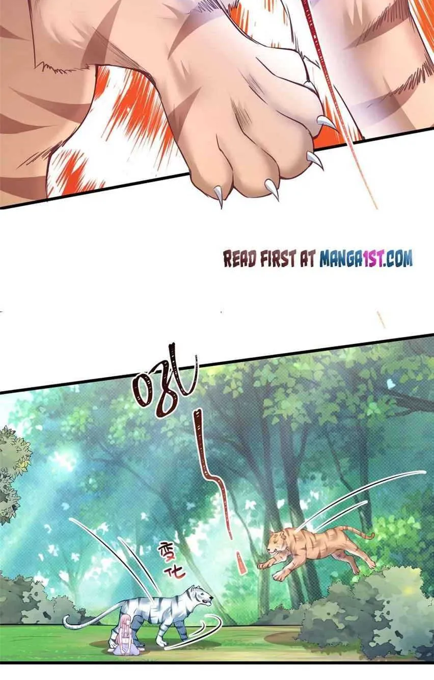 Read Beauty And The Beasts chapter 355 image 5 on Lezhin